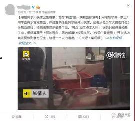 某火锅店爆料视频最新版,揭秘幕后真相,行业乱象引关注  第3张 某火锅店爆料视频最新版,揭秘幕后真相,行业乱象引关注  第3张